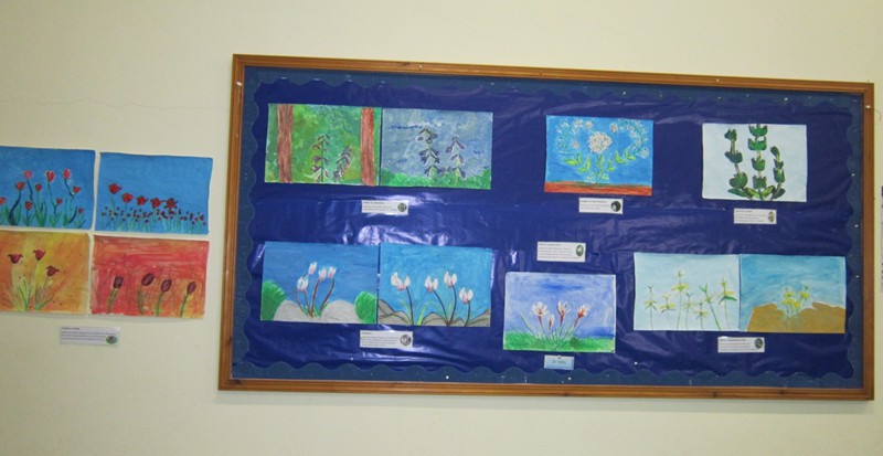 Α' Δημοτικό Σχολείο Τσερίου 2013-2014