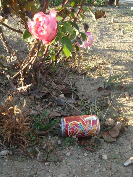 Έργα Παιδιών - Φωτογραφία