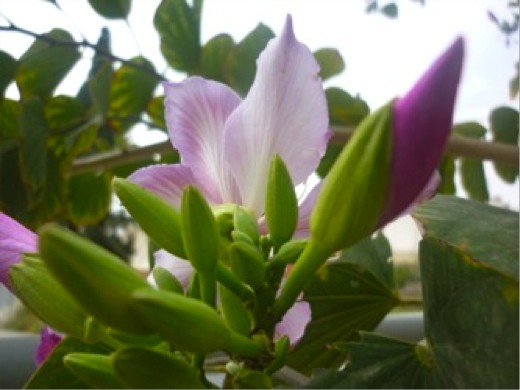 Έργα Παιδιών - Φωτογραφία