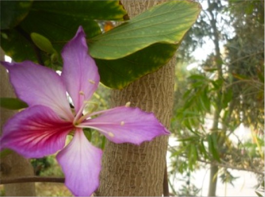 Έργα Παιδιών - Φωτογραφία